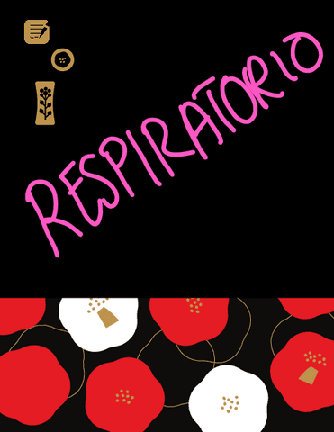 APUNTES-CLASE-RESPIRATORIO.pdf