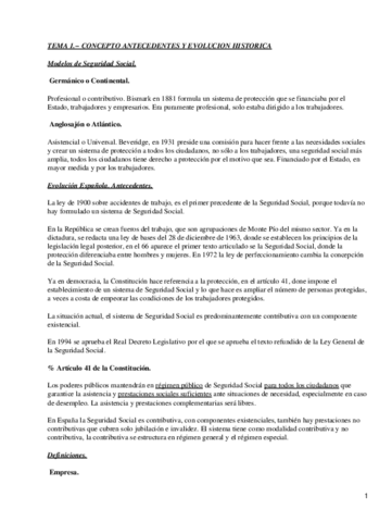 Seguridad-social.pdf