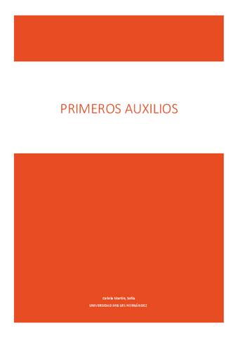Apuntes-PA.pdf