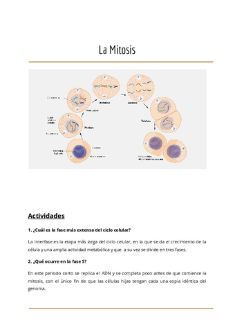 Trabajo-Mitosis.pdf