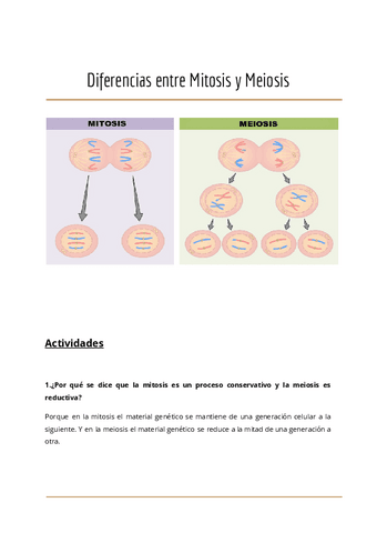 Trabajo-Diferencias-mitosis-y-meiosis.pdf