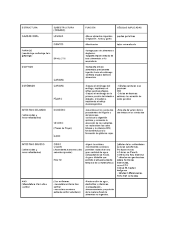 Tablas-sistema-digestivo.pdf