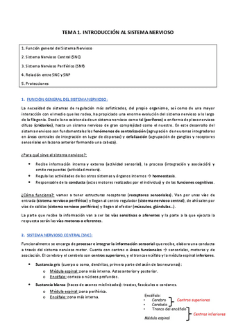 BLOQUE VII: Sistema nervioso (completo).pdf