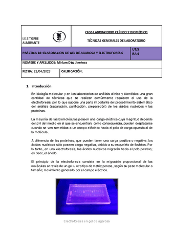 Gel-de-Agar-y-electroforesis.pdf