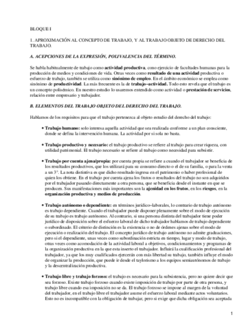 Derecho-del-Trabajo-espanol.pdf