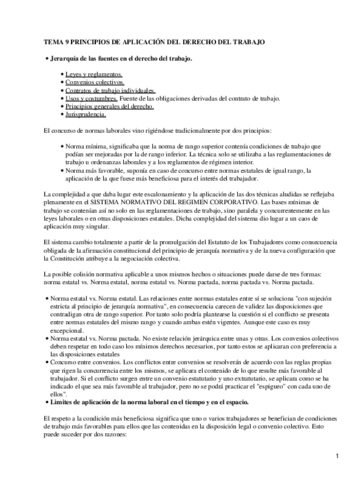 Derecho-del-Trabajo-Principios-de-Aplicacion.pdf