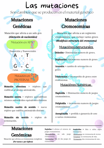 Infografia-de-las-mutaciones.pdf