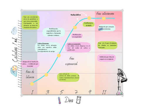 Resumen-fase-cultivos-celulares.pdf