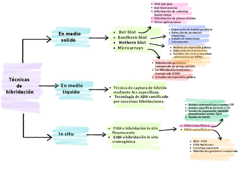 Esquema-tecnicas-de-hibridacion.pdf