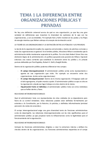 Dirección y Organización Pública I.pdf