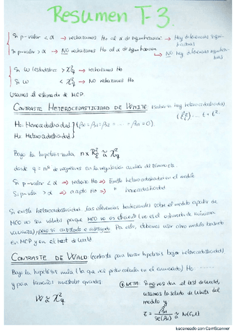 Resumen-Tema-3-y-4-Econometria-II.pdf