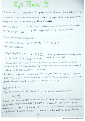 Ejs-Tema-3-Econometria-II.pdf