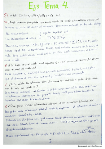 Ejs-Tema-4-Econometria-II.pdf