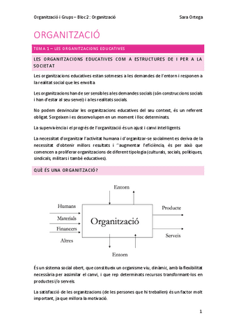 OIG-ORGANITZACIO.pdf