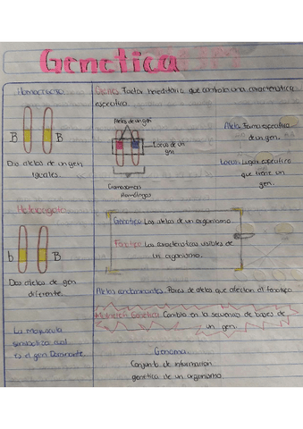 Leyes-de-mendel-Genetica.pdf