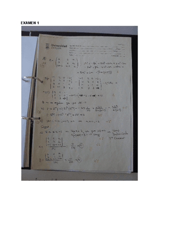 Examenes-resueltos-y-puntuados-Matematicas-I-1o-MIM-Unizar.pdf