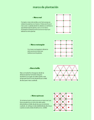 Marco-de-plantacion.pdf