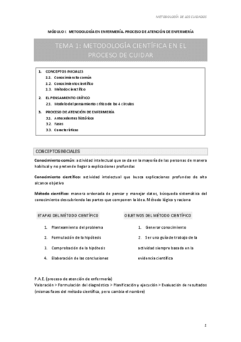 METODOLOGIA-DE-LOS-CUIDADOS.pdf