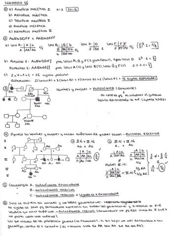 Ejercicios-seminarios-Citogenetica.pdf