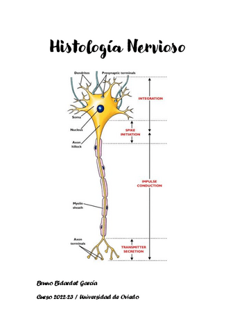 Apuntes-Histologia-Nervioso-2022-23.pdf