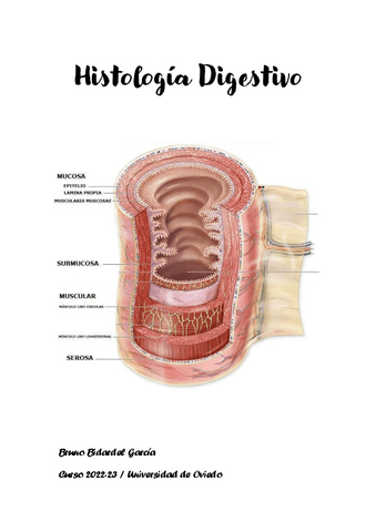 Apuntes-Histologia-Digestivo-2022-23.pdf