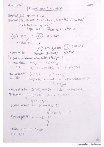 Exercicis-Acid-Base.pdf