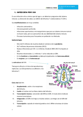 TEMA 11 SIDA.pdf