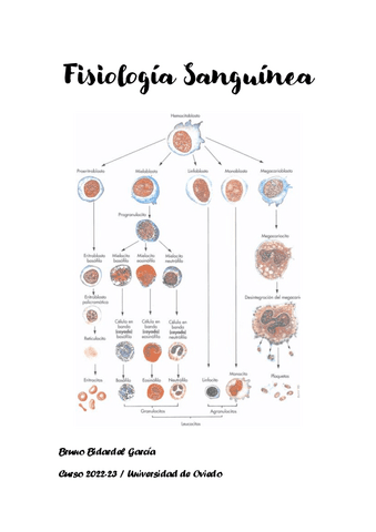 Apuntes-Fisiologia-Sanguinea-2022-23.pdf