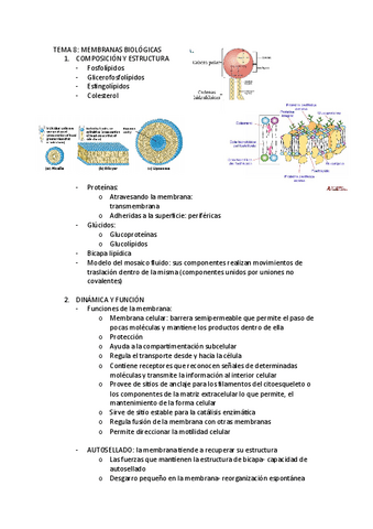 TEMA-8.pdf