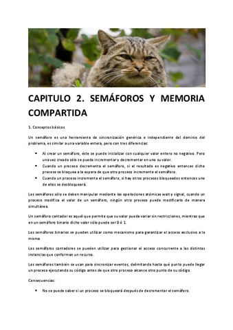 PCTR-Tema-2-semaforos-y-memoria-compartida.pdf