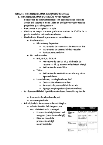 TEMA-11.pdf