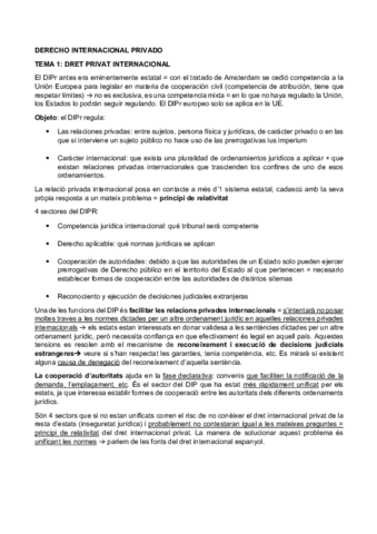 APUNTES-DERECHO-INTERNACIONAL-PRIVADO.pdf