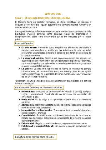 Temas-1-9-Derecho-Civil.pdf