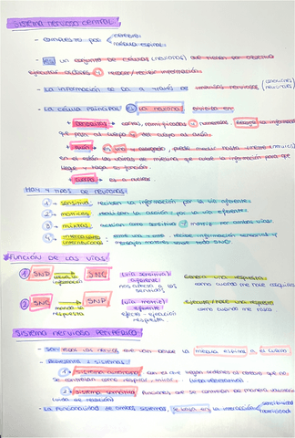 Sistemas-nerviosos.pdf