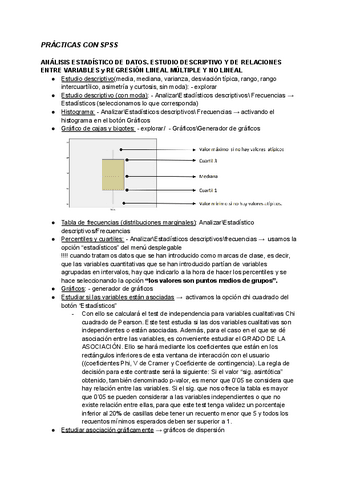 resumen-spss.pdf