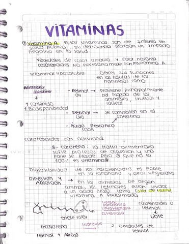 Vitaminas-Requerimientos-de-Nutrientes.pdf