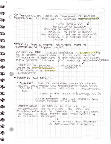 Vitaminas-II-Requerimientos-de-Nutrientes.pdf