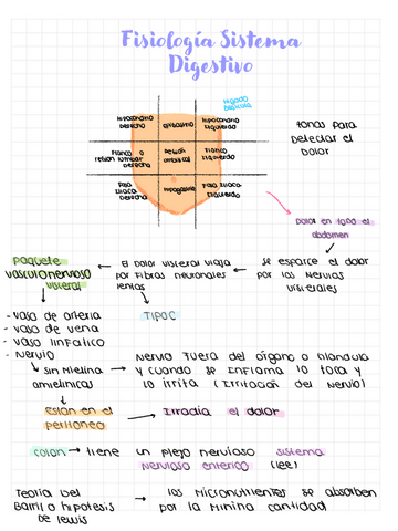 Fisiologia-Sistema-Digestivo.pdf