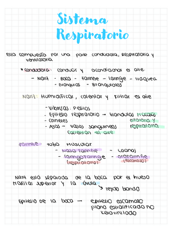 Anatomia-e-Histologia-Sistema-respiratorio.pdf