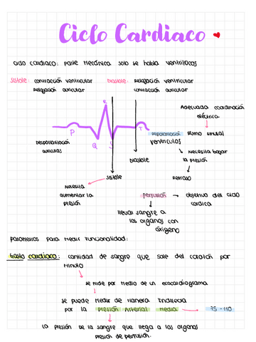 Ciclo-Cardiaco.pdf