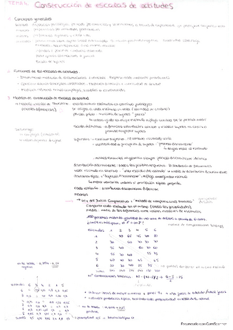 Psicometria-T4.pdf