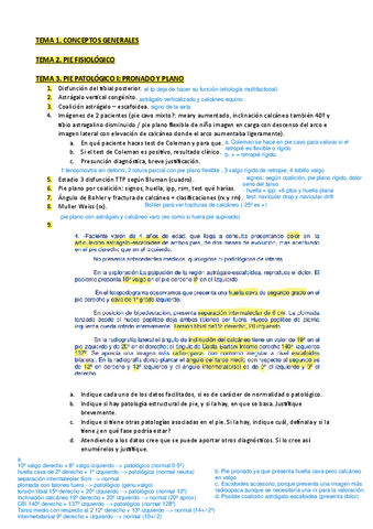MIX-EXAMENES.pdf