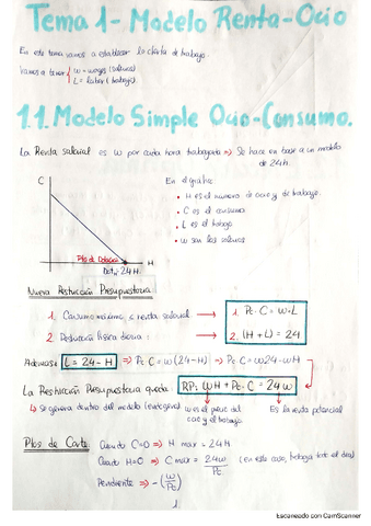 Tema-1-Analisis-Micro.pdf