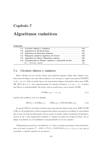 Tema-7-Algoritmos-Cuanticos.pdf