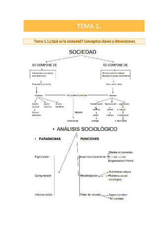 TEMA-1.-SOCIOLOGIA.pdf