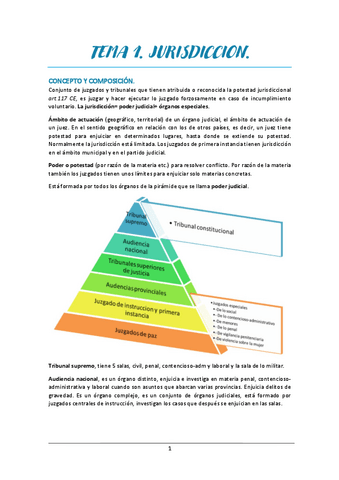 DERECHO-PROCESAL-I.pdf