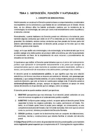 DERECHO-PENAL-GENERAL-VAZQUEZ-PORTOMENE.pdf
