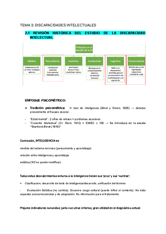 tema-2-discapacidades-intelectuales.pdf
