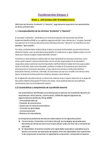 fundamentos-resumenes-temas-examen-pdf.pdf