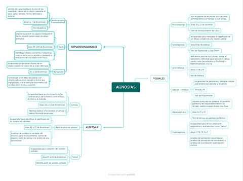 Mapa-conceptual-agnosias.pdf